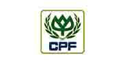 Corporate Training in India