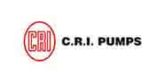 Corporate Training in India
