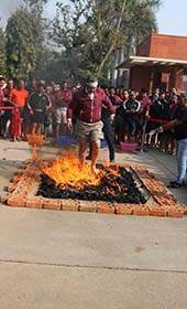 Shimla Corporate Team Outing Places | Siegergroups.com